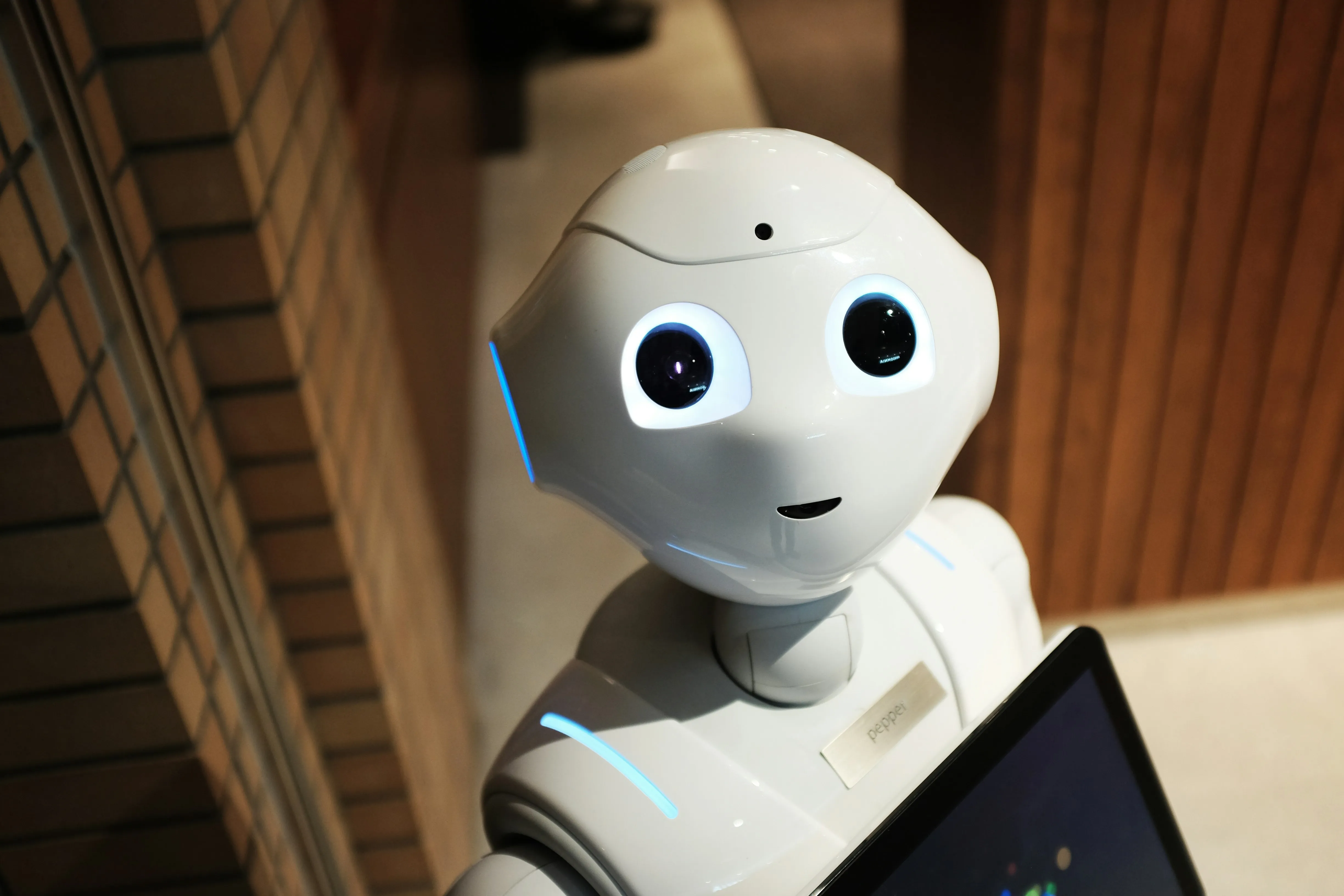 pepper robot, humanoid robot