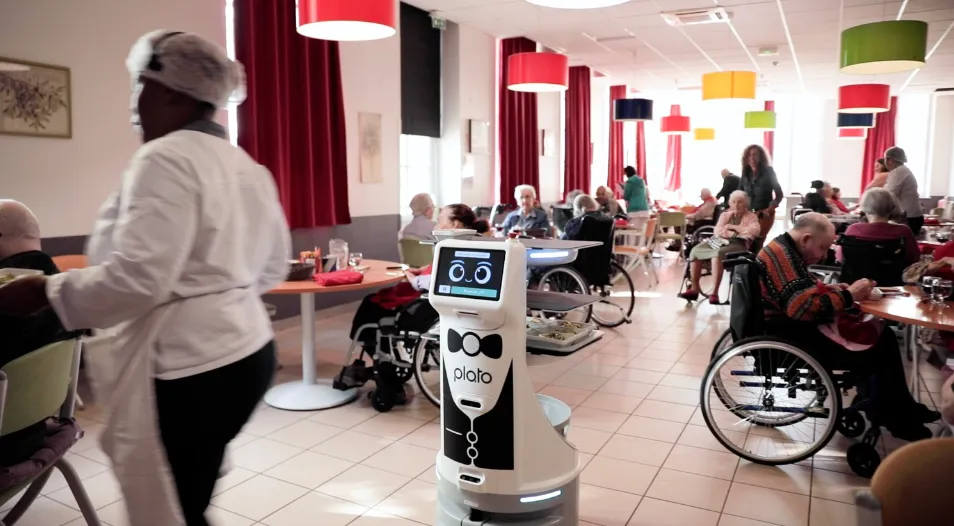 serving robot, robot for restaurant, plato the serving robot